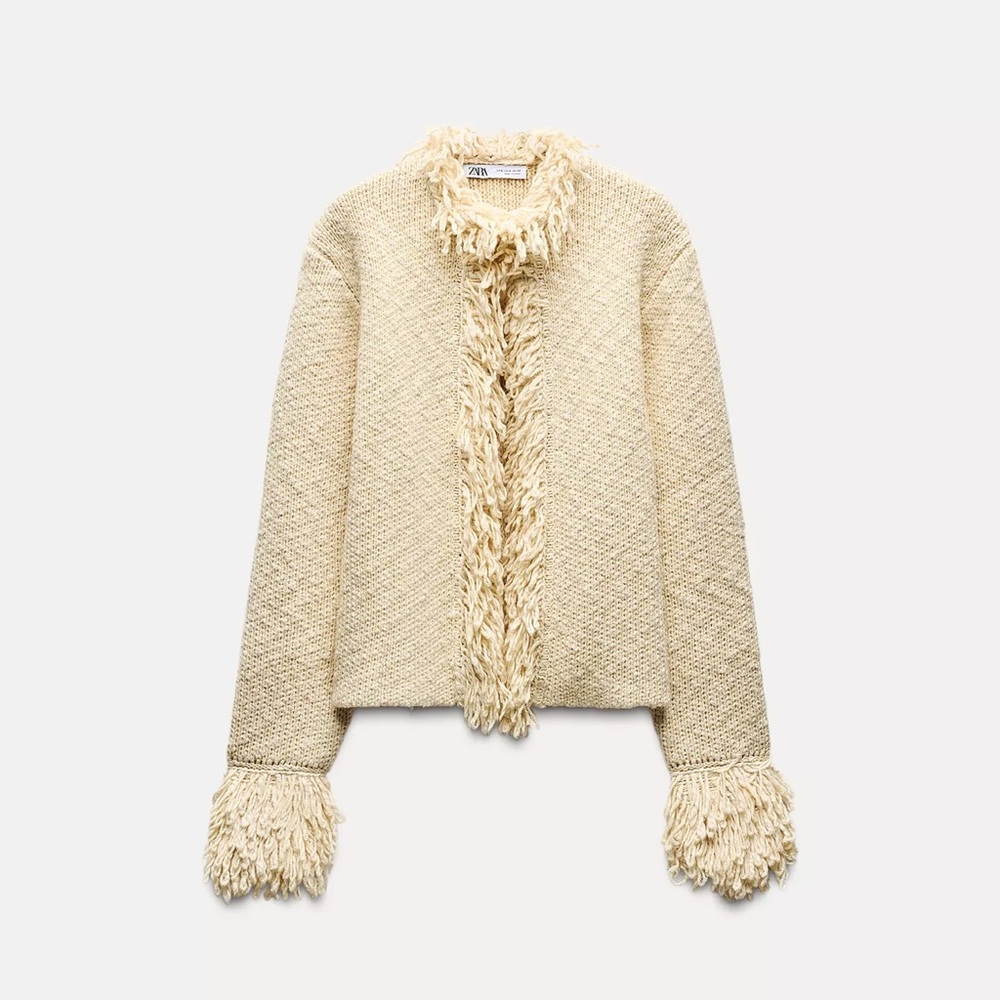 NWT Zara Fringed Knit Sweater